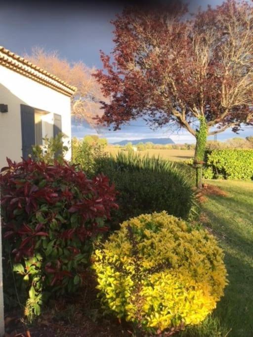 Sejour En Provence Maison Avec Vue Sur La Sainte Victoire Et Piscine Pres D'Aix En Provence エクス＝アン＝プロヴァンス エクステリア 写真